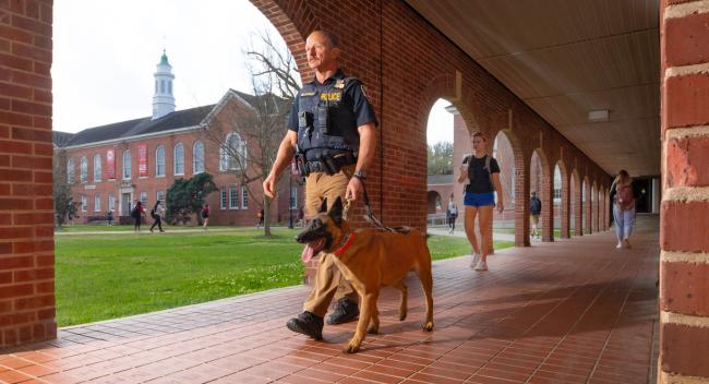 Lt. Mike LaSalle walks service dog, Bella, in the UL Lafayette quad.