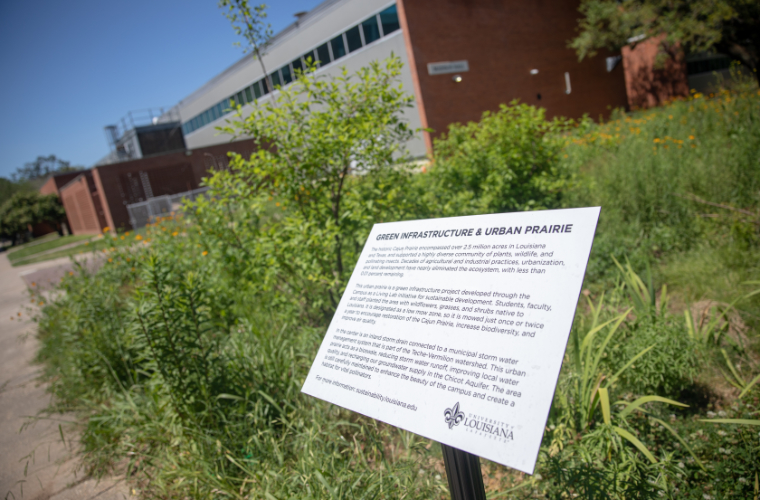 Green infrastructure and urban prairie sign on campus at UL Lafayette