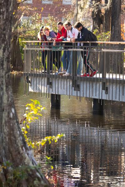 University of Louisiana at Lafayette students stand on the pier in Cypress Lake to look at wildlife